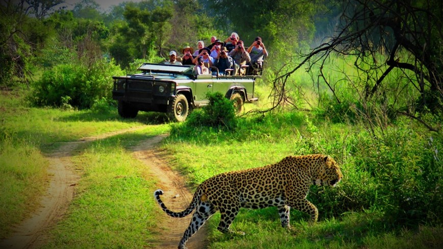 🐾 Yala National Park Safari